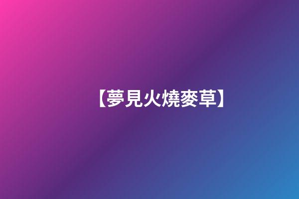【夢見火燒麥草】