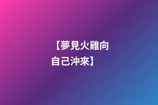 【夢見火雞向自己沖來】