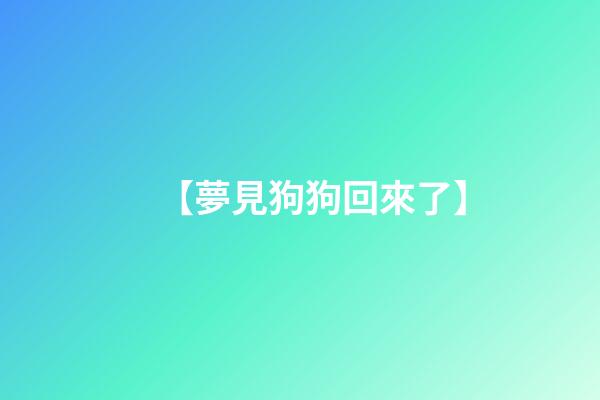 【夢見狗狗回來了】