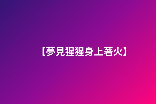 【夢見猩猩身上著火】