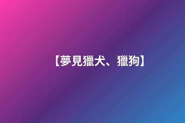 【夢見獵犬、獵狗】