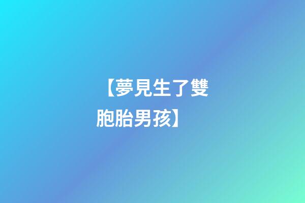 【夢見生了雙胞胎男孩】
