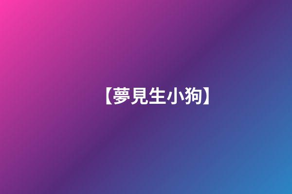 【夢見生小狗】
