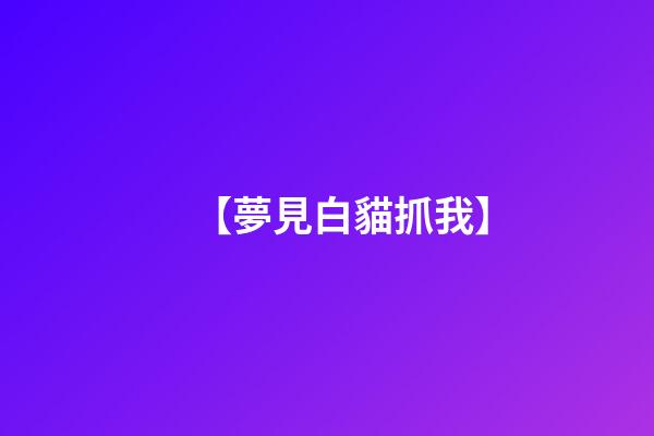 【夢見白貓抓我】