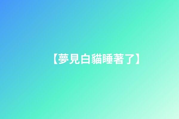 【夢見白貓睡著了】