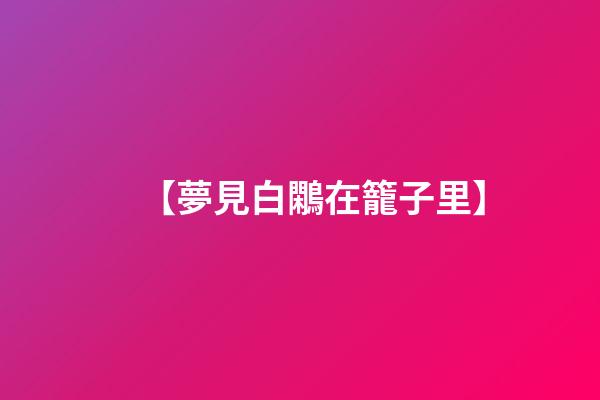【夢見白鷴在籠子里】