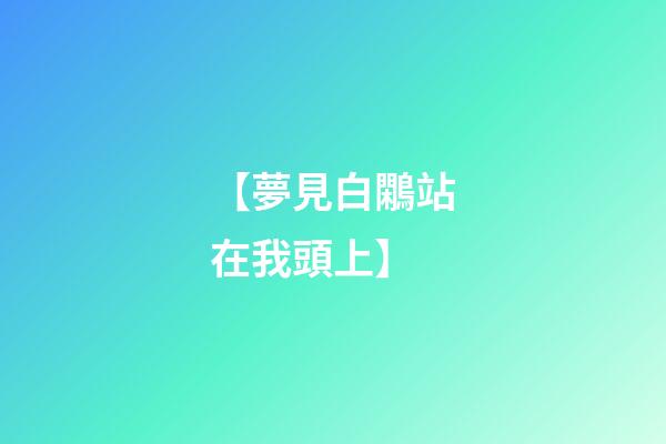 【夢見白鷴站在我頭上】
