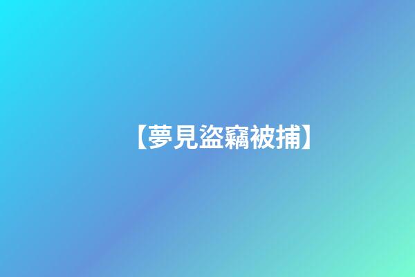 【夢見盜竊被捕】