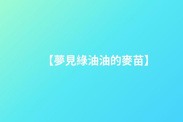 【夢見綠油油的麥苗】