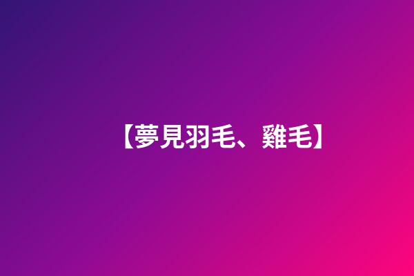 【夢見羽毛、雞毛】