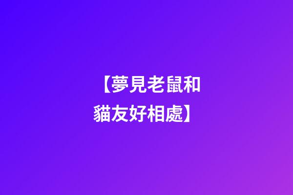 【夢見老鼠和貓友好相處】