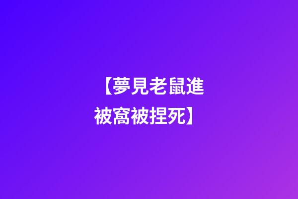 【夢見老鼠進被窩被捏死】