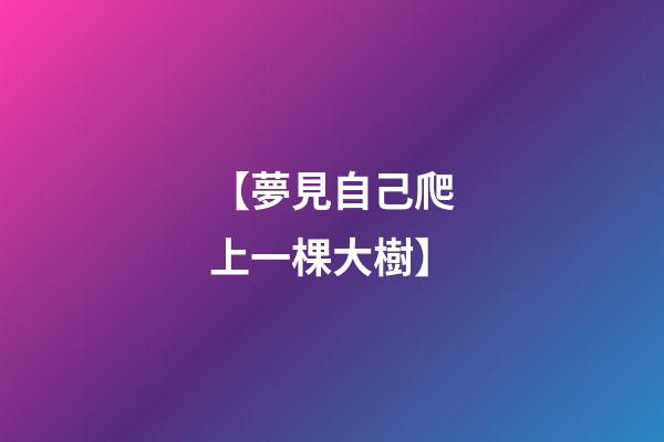 【夢見自己爬上一棵大樹】