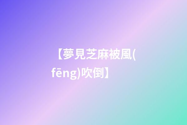 【夢見芝麻被風(fēng)吹倒】
