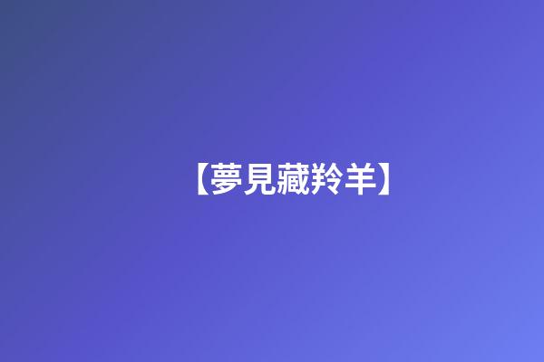 【夢見藏羚羊】
