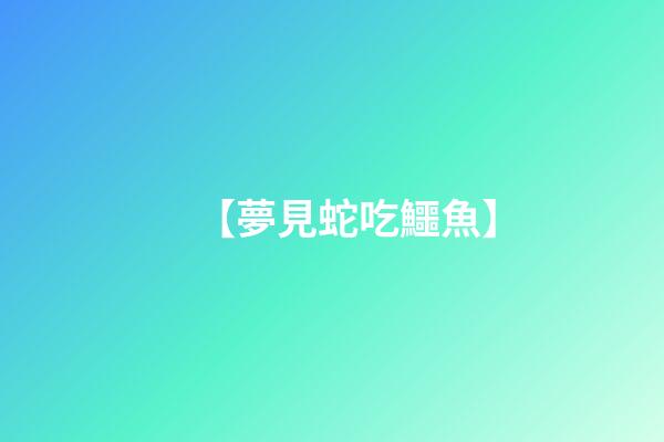 【夢見蛇吃鱷魚】