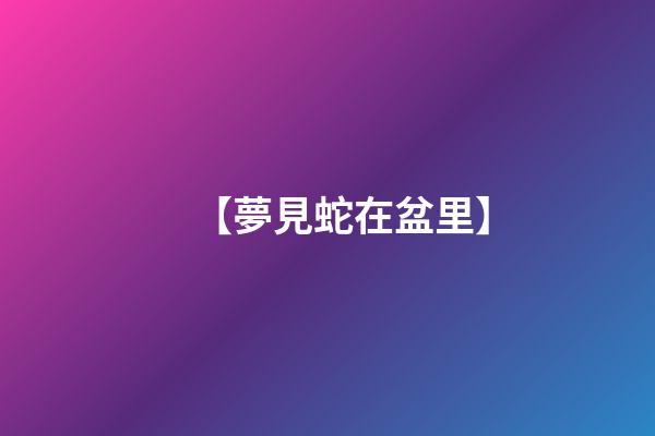 【夢見蛇在盆里】