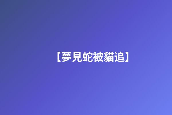 【夢見蛇被貓追】