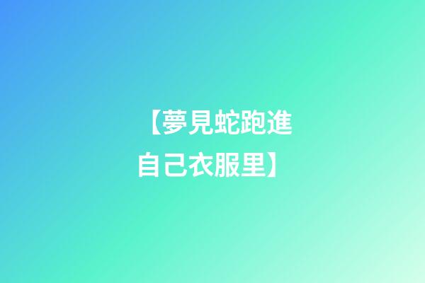 【夢見蛇跑進自己衣服里】