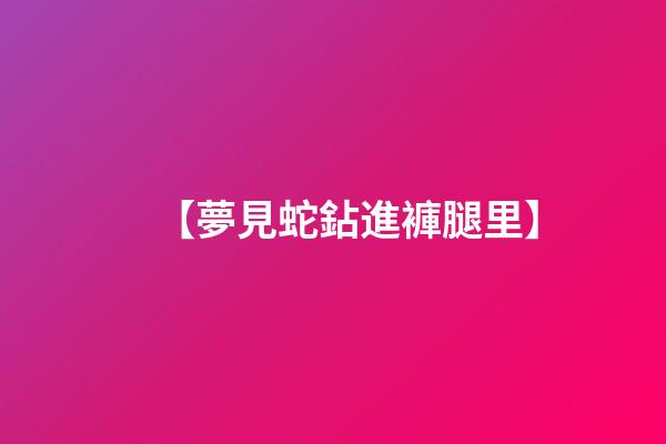 【夢見蛇鉆進褲腿里】