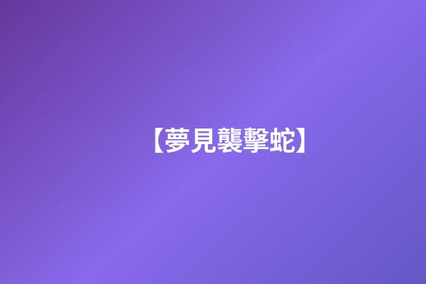 【夢見襲擊蛇】
