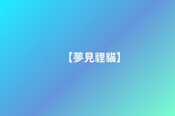 【夢見貍貓】