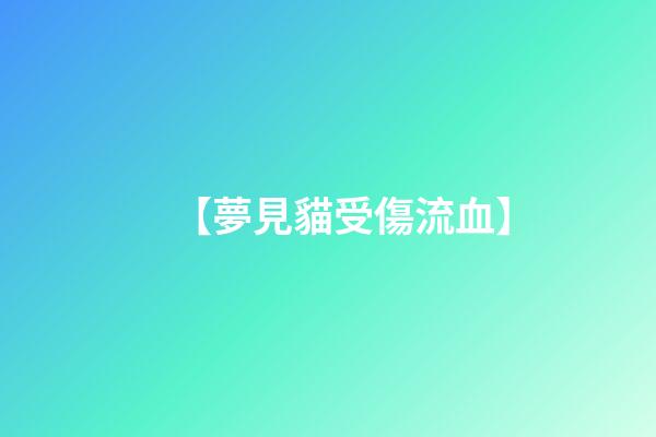【夢見貓受傷流血】