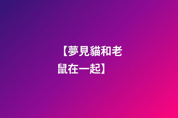 【夢見貓和老鼠在一起】