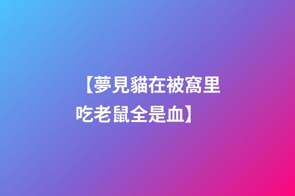【夢見貓在被窩里吃老鼠全是血】