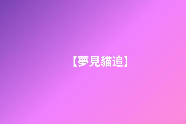 【夢見貓追】