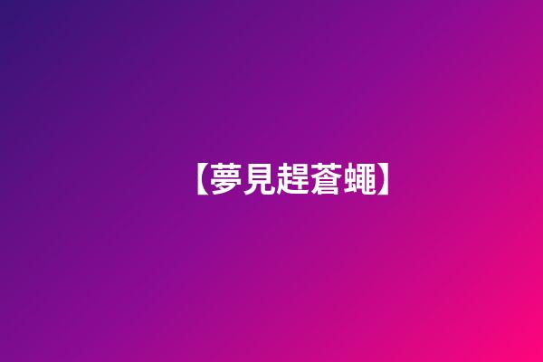 【夢見趕蒼蠅】