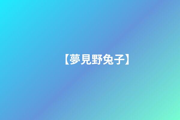 【夢見野兔子】