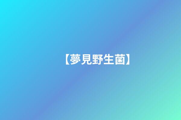 【夢見野生菌】
