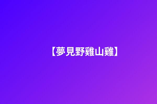 【夢見野雞山雞】