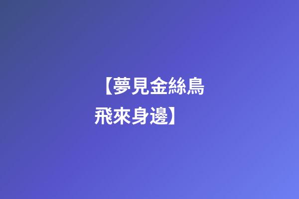 【夢見金絲鳥飛來身邊】