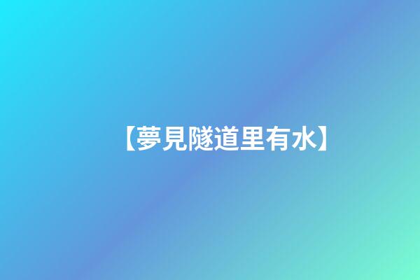 【夢見隧道里有水】