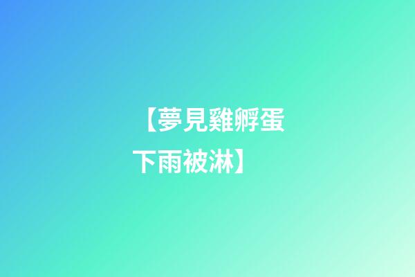 【夢見雞孵蛋下雨被淋】