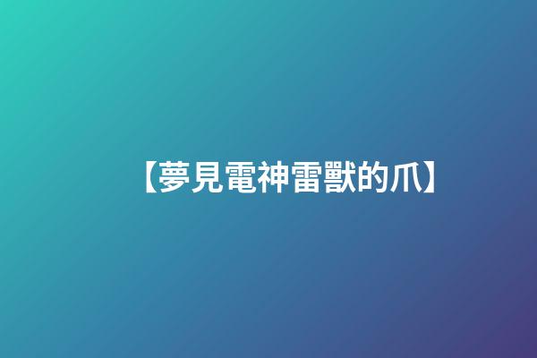 【夢見電神雷獸的爪】