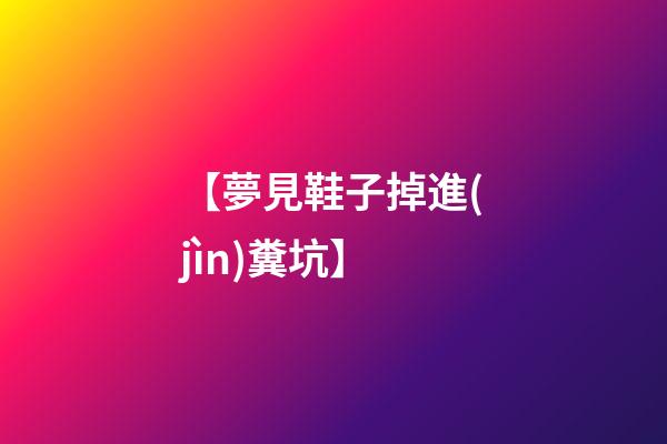 【夢見鞋子掉進(jìn)糞坑】