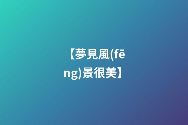 【夢見風(fēng)景很美】