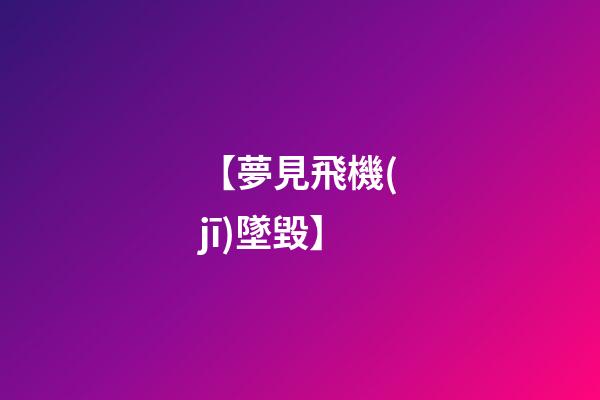 【夢見飛機(jī)墜毀】