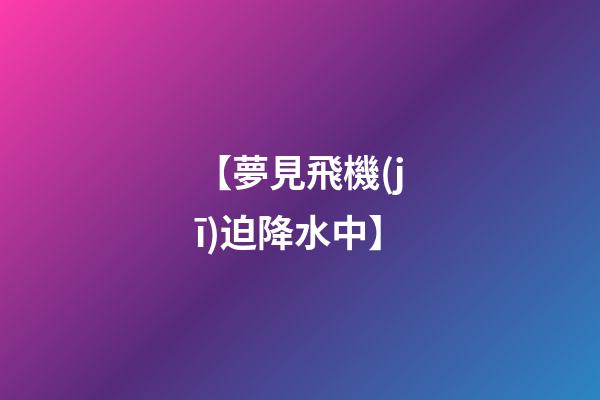 【夢見飛機(jī)迫降水中】