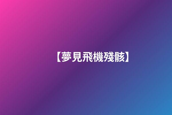 【夢見飛機殘骸】