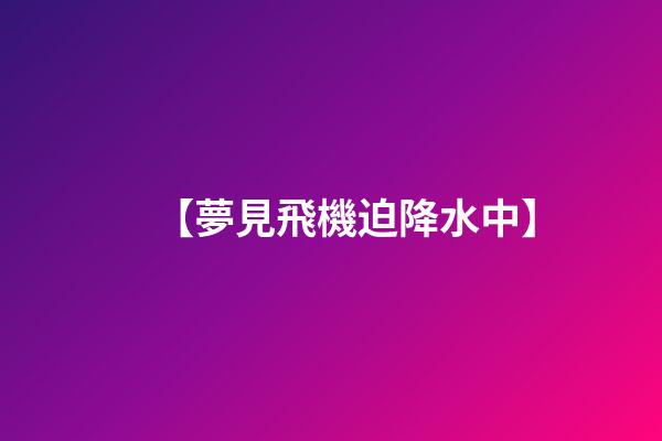 【夢見飛機迫降水中】