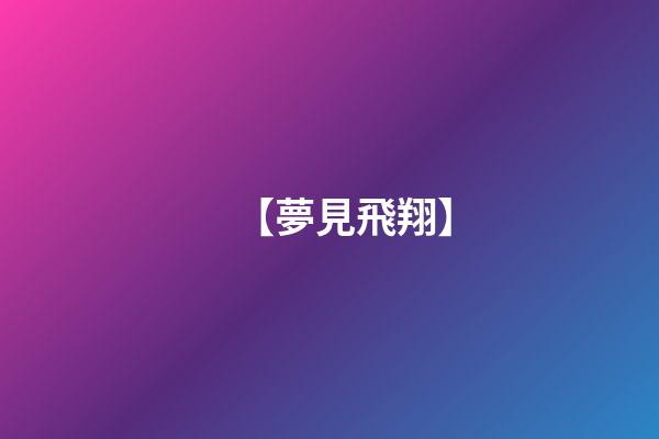 【夢見飛翔】