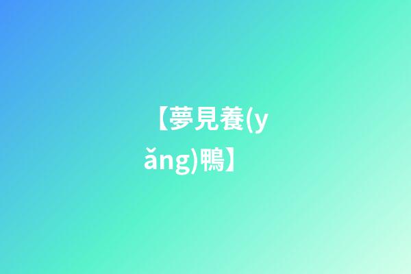 【夢見養(yǎng)鴨】