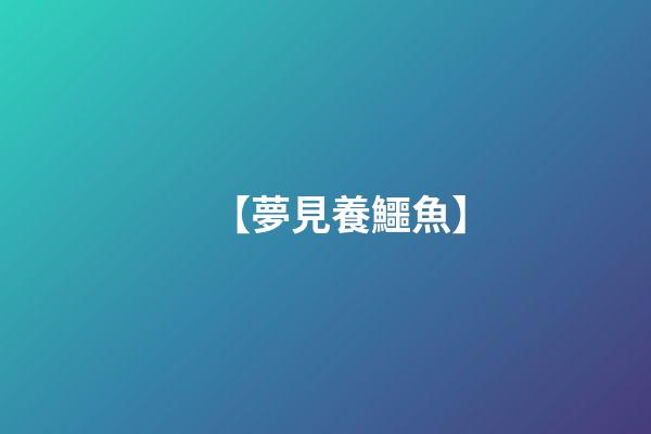 【夢見養鱷魚】