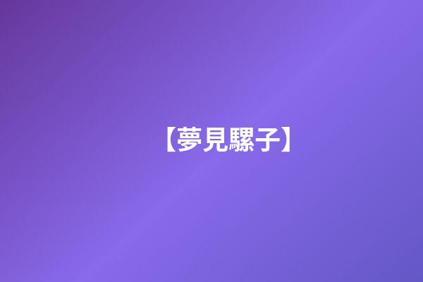 【夢見騾子】