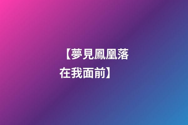 【夢見鳳凰落在我面前】