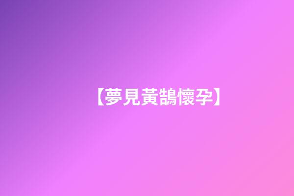 【夢見黃鵠懷孕】